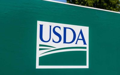USDA expected to reduce fees to the USDA 538 program