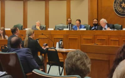 TAAHP testifies at the Senate Committee on Local Government hearing